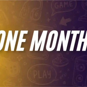 one months membership themeshive